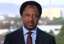 Shehu Sani alleges violent protests in the North aimed at overthrowing Tinubu
