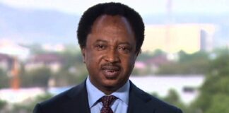 Shehu Sani alleges violent protests in the North aimed at overthrowing Tinubu