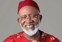 LP’s Achonu says Supreme Court verdict on Imo election didn’t reflect democracy