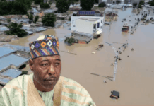 In Borno, refreshment, sitting allowance get budget priority as Maiduguri, others face worst flood in decades