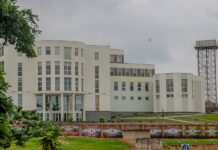 Lion kills zoo keeper at Obasanjo’s library