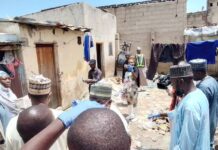 NAFDAC confiscates unsafe drugs worth millions of naira in Borno