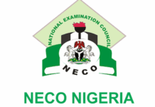 JUST IN: NECO releases 2024 examination results amidst cheating controversy