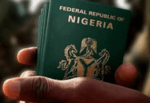 Nigeria launches automated system to end passport application nightmares
