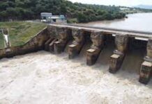 Farmers harvest crops ahead of impending flood in Anambra