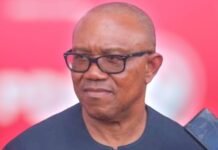 Peter Obi says he’s open to VP role