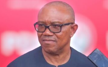 Peter Obi says he’s open to VP role