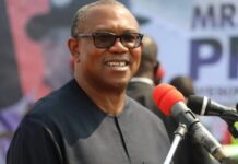 Labour Party’s 2027 presidential ticket no longer reserved for Peter Obi, Abure declares
