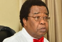Ex-foreign affairs minister, Akinyemi warns on China loans as Nigeria’s debt rises