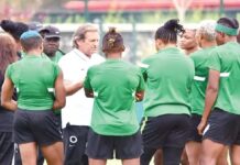 Waldrum resigns as Super Falcons coach over wife’s health