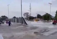 Panic in Maiduguri as Alau Dam breaks down during flood (Video)