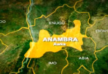 APGA dominates Anambra local government elections
