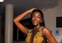 Chidimma Adetshina responds to criticism surrounding her Miss Universe Nigeria victory