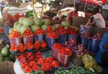 Food prices rose ‘significantly’ in August 2024 – NBS