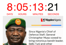 RipplesCountDown: One week later, Nigerians await CDS Musa on his vow to take out bandit kingpin Bello Turji