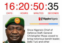 Notorious bandit, Bello Turji, others still running loose two weeks after CDS Musa vowed to get him