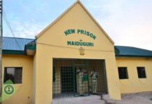 Alau Dam Flood: ‘Terrorists may have escaped from Maiduguri prison’ —Gov, Zulum