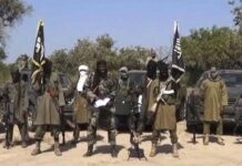 B’Haram terrorists blow up Damaturu-Maiduguri power transmission line three weeks after restoration