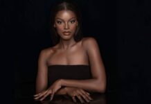 Rejected in S’Africa, Miss Chidinma Adetshina bags Miss Universe Nigeria 2024 crown