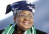 Okonjo-Iweala to vie for second term as WTO DG