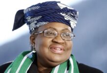 Okonjo-Iweala to vie for second term as WTO DG