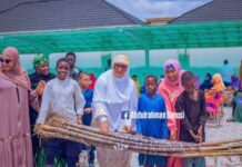 Wife of Bauchi lawmaker empowers youths with sugar canes