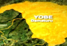Yobe confirms 4 new polio cases, years after certification