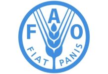 2.8bn people can’t afford healthy diets globally – FAO