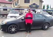 Police Arrest Car Thief; Recover Vehicle