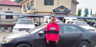 Police Arrest Car Thief; Recover Vehicle