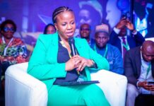 NESG: Adubi Calls for Nigeria to Leverage Economic Potential for Industrial Growth