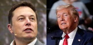 Elon Musk donates 119m dollars to Donald Trump campaign