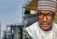Civil Society Groups Pressure NNPC, Urge Mele Kyari’s Dismissal
