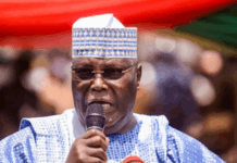 Arewa Professionals Slam Atiku Over Criticism of Tinubu’s $2.2bn Foreign Loan