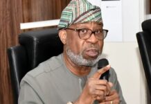 Minister Confirms Arrest of 300 Illegal Mining Operators in Nigeria
