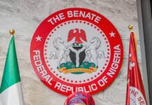 Senator Natasha: #EndBadGovernance: Children should be in school, not detention