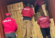 NDLEA Foils N4.3bn Opioid Smuggling at Onne, Tincan Ports