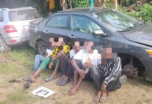 Delta Police nabs suspected kidnappers/ armed robbers and cultists: Recover guns, stolen vehicle