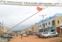 Apo Mechanic Market Relocation: 11,000 Traders Transition to Wasa