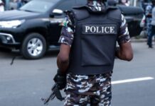 23 Kidnap Victims Rescued by Police as Gunmen Claim Driver’s Life in Niger