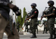 Three Dogs Seized as Police Detain Owner After Security Guard’s Deadly Attack