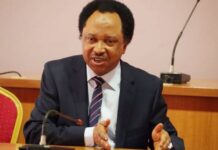 Shehu Sani to Lawmakers: Be Independent, Not Rubber Stamps