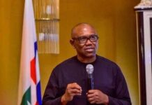 Death penalty for fowl theft: Obi faults Nigeria’s legal system