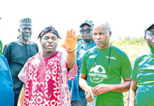 Agbeyewa farms’ drive for cassava revolution and food security in Nigeria