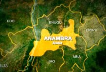 PDP will win Anambra South by-election — Nwosu