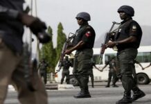 Kaduna Police Crackdown: Bandit Killed, Six Kidnappers, Robbers Captured