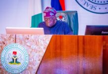 Tax Reforms: Why the North Has Nothing to Fear