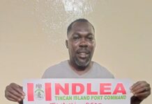 Scandal: Opposition Senators Set Up Panel on Natasha vs. Akpabio Dispute