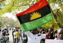 Troops neutralise 13 IPOB members, recover firearms in South East