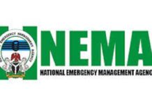 NEMA calls for proper crowd management during palliative distribution